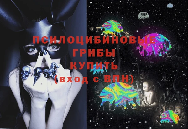гидра Богородск