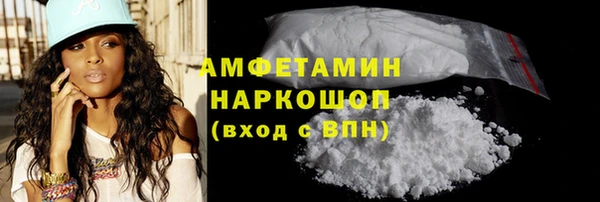 гидра Богородск
