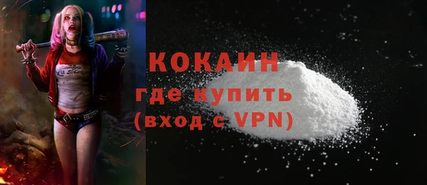 гидра Богородск