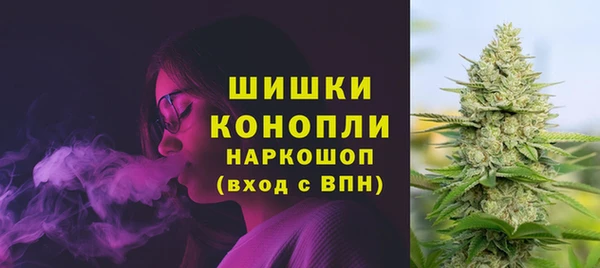 ПСИЛОЦИБИНОВЫЕ ГРИБЫ Богородицк