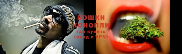 шишки Новодвинск