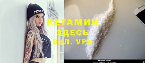 шишки Новодвинск