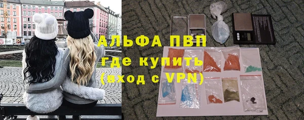 гидра Богородск