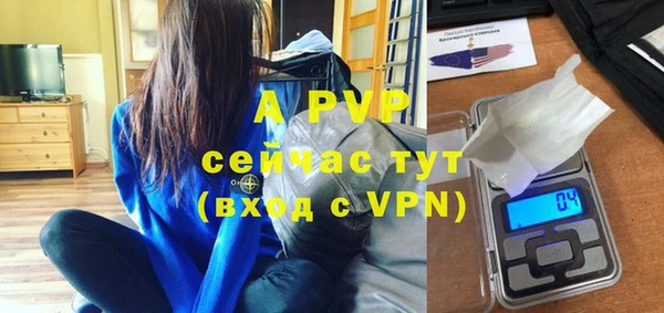 гидра Богородск
