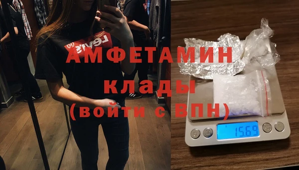 шишки Новодвинск