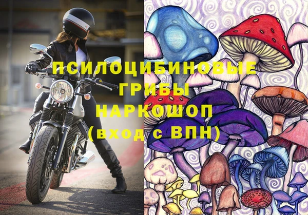 марки lsd Богданович