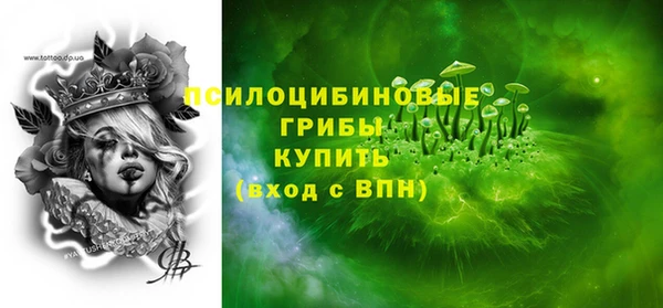 ПСИЛОЦИБИНОВЫЕ ГРИБЫ Богородицк