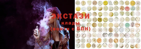 шишки Новодвинск