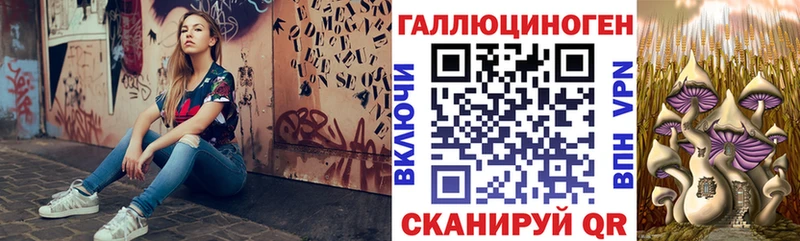 Галлюциногенные грибы мицелий магазин наркотиков Шенкурск